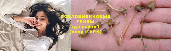 ПСИЛОЦИБИНОВЫЕ ГРИБЫ Аркадак
