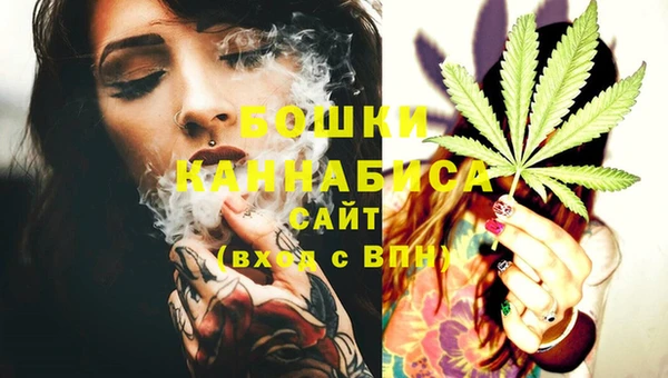 ПСИЛОЦИБИНОВЫЕ ГРИБЫ Аркадак