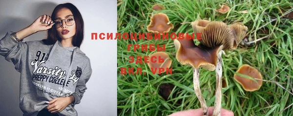 ПСИЛОЦИБИНОВЫЕ ГРИБЫ Аркадак