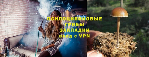 гидра Армянск