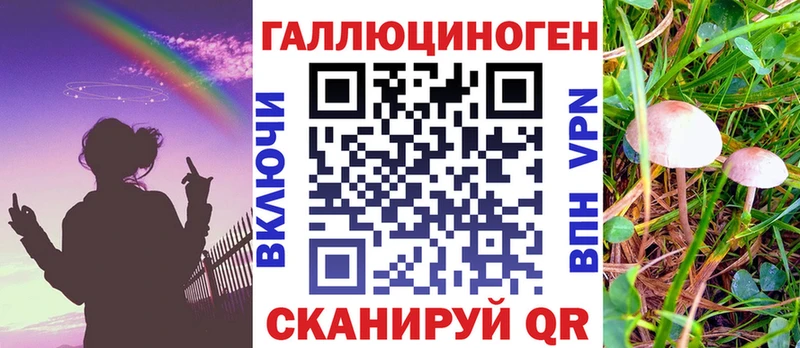 купить наркотик  Берёзовский  Галлюциногенные грибы Psilocybe 